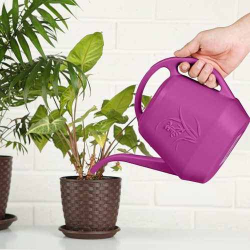 Image of Watering Can - for Home Plant Garden - 1 /2 Gallon - Rose Red
