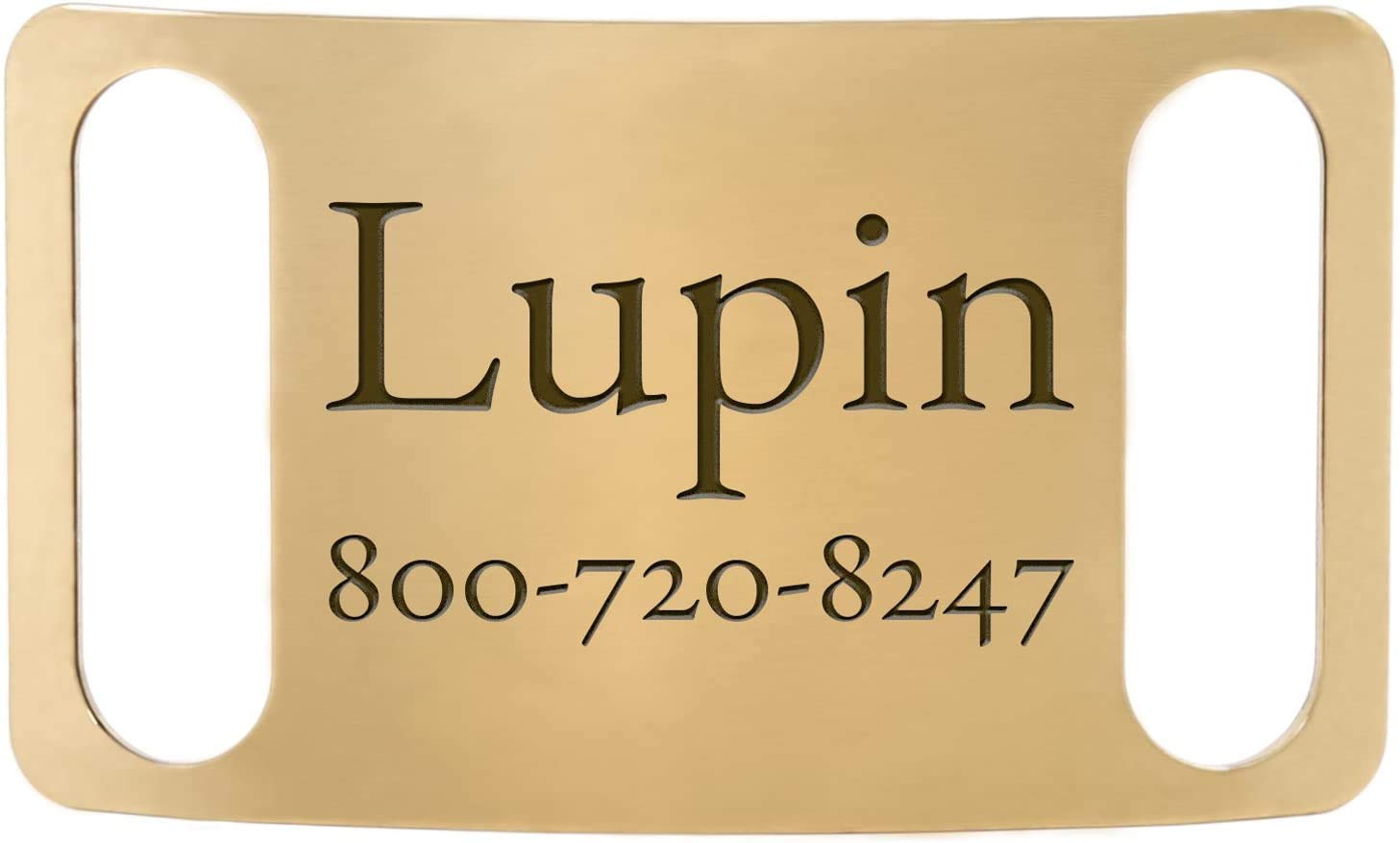 DogIDs Personalized ScruffTag Slide-On Nameplate Dog Identification Tag, Custom Laser Engraved Single Sided ID Tag with Name and Number - Brass, Large