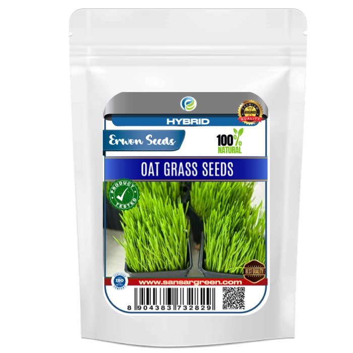 Erwon Oat Grass seeds (Hybrid) (B0BCNX3SPZ) Amazon Price History, Amazon Price Tracker