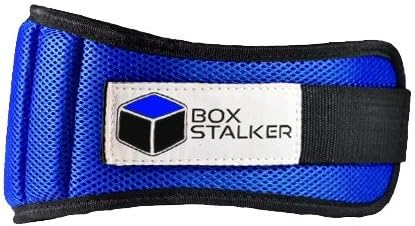 Weight Lifting Belt: Blue34.0-37.5 in