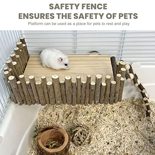 Small Animal Activity Toy - Image 3