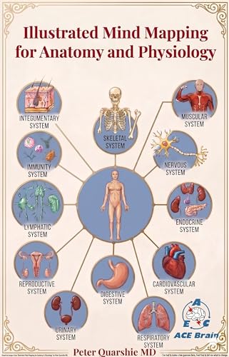 Illustrated Mind Mapping for Anatomy & Physiology