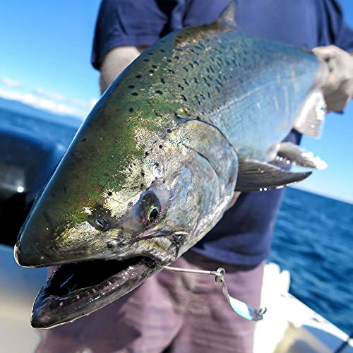 Peetz Anchovy Spoon Lure - 'Holy Roller' Cut-Plug, 4-Inch | Handcrafted, Premium Quality | 12G/0.4Oz Stainless Steel | For Trolling Salmon, Steelhead, Trout, And More… #TOP3