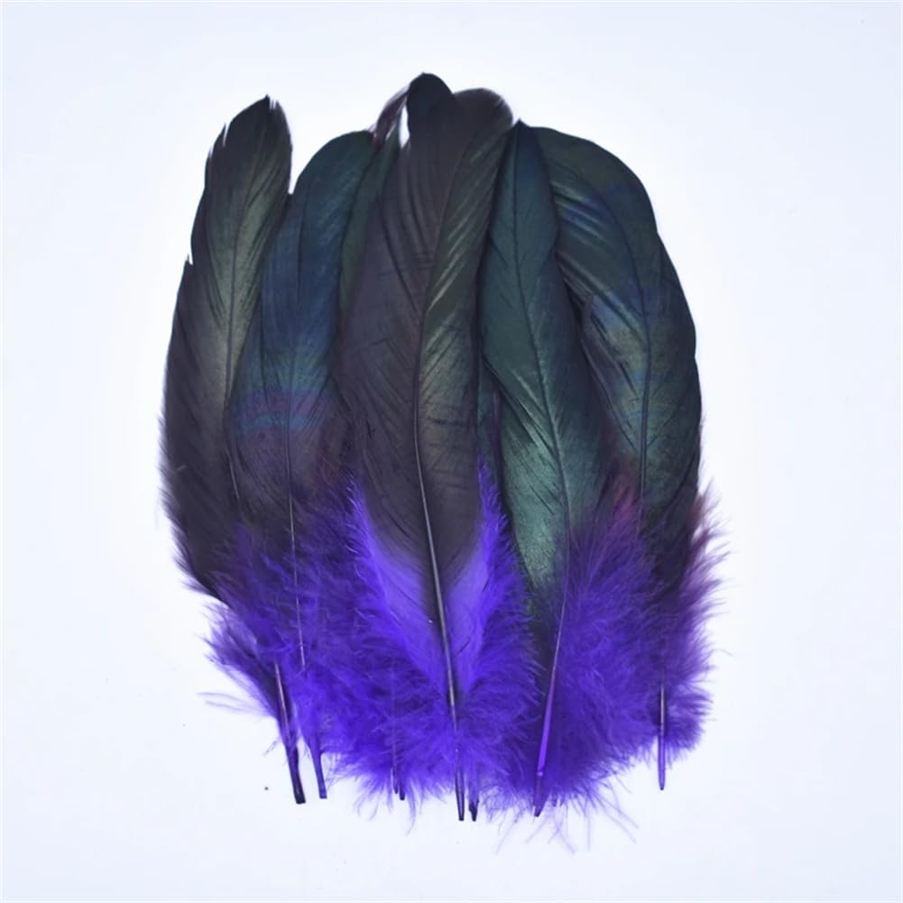 Natural Pheasant Feathers, Natural Pheasant Rooster Feathers, Craft, 50 Pcs Multicolor Fly Tying & Crafts(Purple)