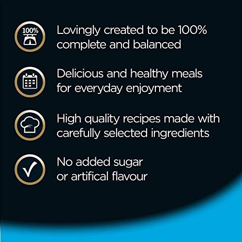 Cesar 10+ - Wet Dog Food for Senior Dogs, Meaty Selection in Jelly, 16 Trays (16 x 150 g)
