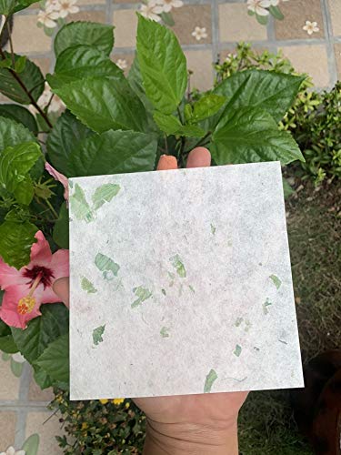 50 Sheets 6 X 6 Inches Natural Fiber Mullberry Tree Square Origami Paper Arts Folding Craft, Decoration Paper, Square Folding Paper Diy Crafts (Mixed Green) #TOP4