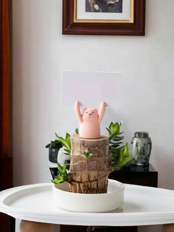 Lucky brazil wood plant with buddha, Healthy Indoor Live Lucky Brazilian Wood Plant for Living Room, Feng Shui Plant 1 Pcs Rare plant With pot (B0DH41QL2K) Amazon Price History, Amazon Price Tracker