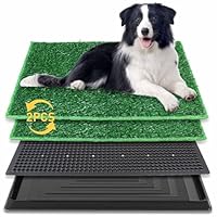BRIAN & DANY 76 x 51 cm Hundetoilette Hundeklo Trainingsrasen für Welpen, Hundetoilette Balkon mit 2X Kunstrasenmattes und Auffangschale für Drinnen und Draußen