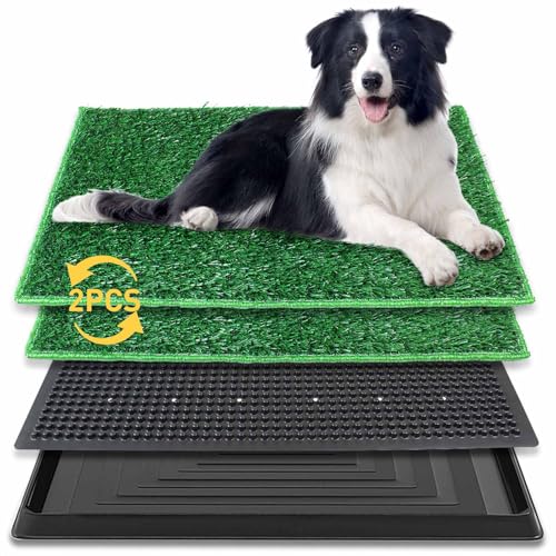 BRIAN & DANY 76 x 51cm Lettiera per Cani e Gatti per Addestramento, Doppio Tappetino di Erba Artificiale e Raccoglitore per Casa ed Esterni