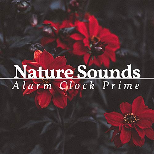 Amazon MusicでNature Sounds Sleep MachineのNature Sounds Alarm Clock