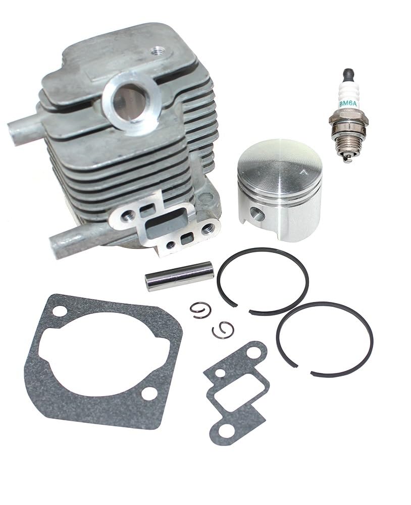 Kit Cylindre-Piston pour PHP-800 SHP-800RS et ES800 pièce 10101155931
