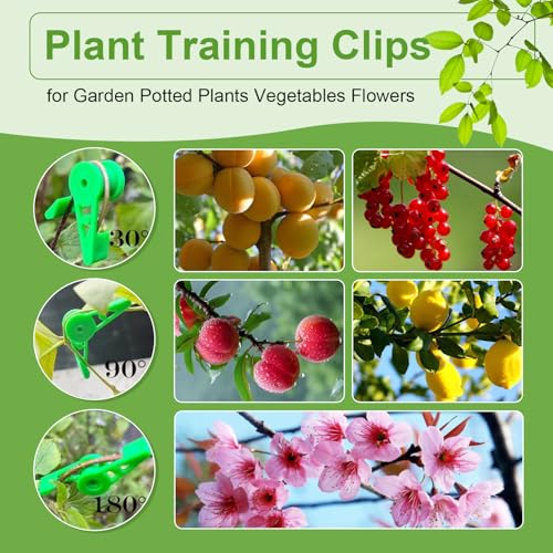 Zdhsufnvw 60 Pièces Réglables à 360 Degré Plant Bender Clips d'entraînement à Faible Stress Réglable Plante Cintreuse Cintreuses de Plantes Clips pour Jardin Plantes Légumes Fleurs (Vertes) – vue 3
