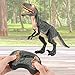 Liberty Imports Dino Planet Remote Control R/C Walking Dinosaur Toy with Shaking Head, Light Up Eyes & Sounds (Velociraptor)