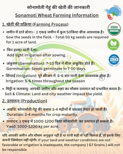 Image of Organic Sonamoti Wheat Grains Seeds (5Kgs) | For Farming, Sowing & Agriculture Use | Produce of India | 100% Natural & Non-GMO | By G7 Grains