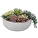 MyGift 8 Inch Round Modern Artificial Succulent Arrangement Potted in Gray Concrete Plant Bowl, Assorted Faux Mini Succulents in a Decorative Planter Pot