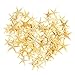 SCStyle 90 Pcs Small Starfish Star Sea Shell Beach Craft 1/2