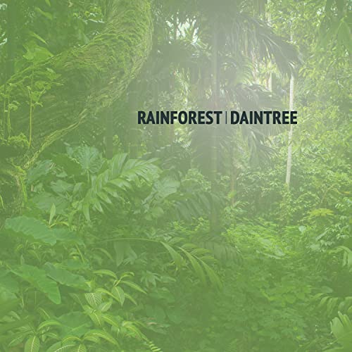 Daintree