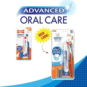 Nylabone 3 pack of advanced oral care cat dental kits  urban country home decor