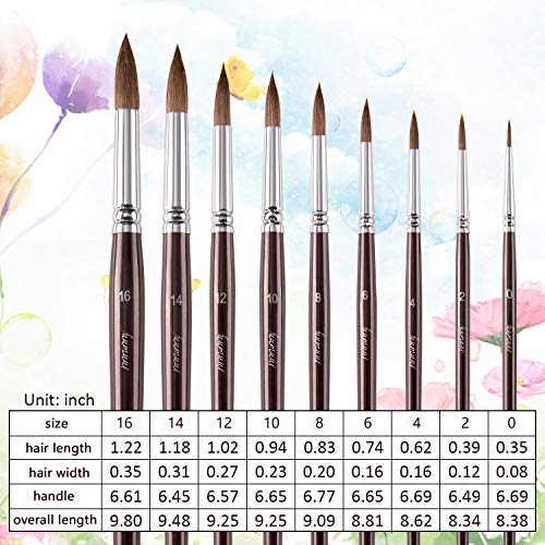 Sable Watercolor Brushes, Fuumuui 9Pcs Detail To Mop Kolinsky Sable Brushes Round Pointed Professional Watercolor Brushes Perfect For Watercolor Gouache Acrylic Ink Painting #TOP3