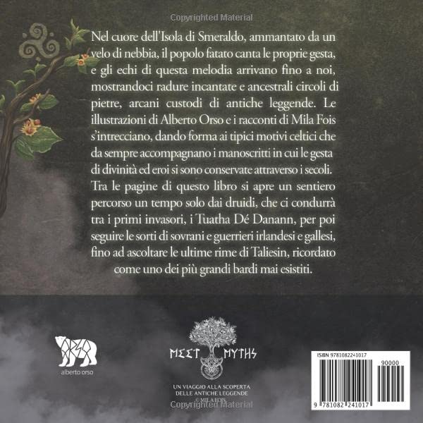 I Miti Celtici: Il Libro Illustrato