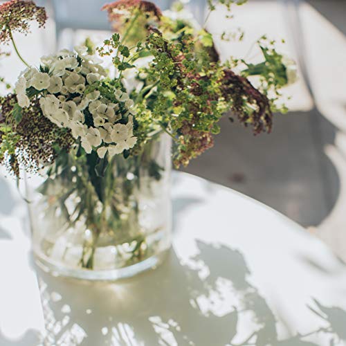 Wgv Cylinder Vase, Diameter 5", Height 6", Clear Glass Floral Planter Container, Floating Candle Holder For Wedding Party Event Home Office Decor, 1 Piece #TOP3