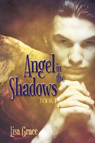 Angel in the Shadows, Book 1: # 1 (Angel Series) (The Angel Series)