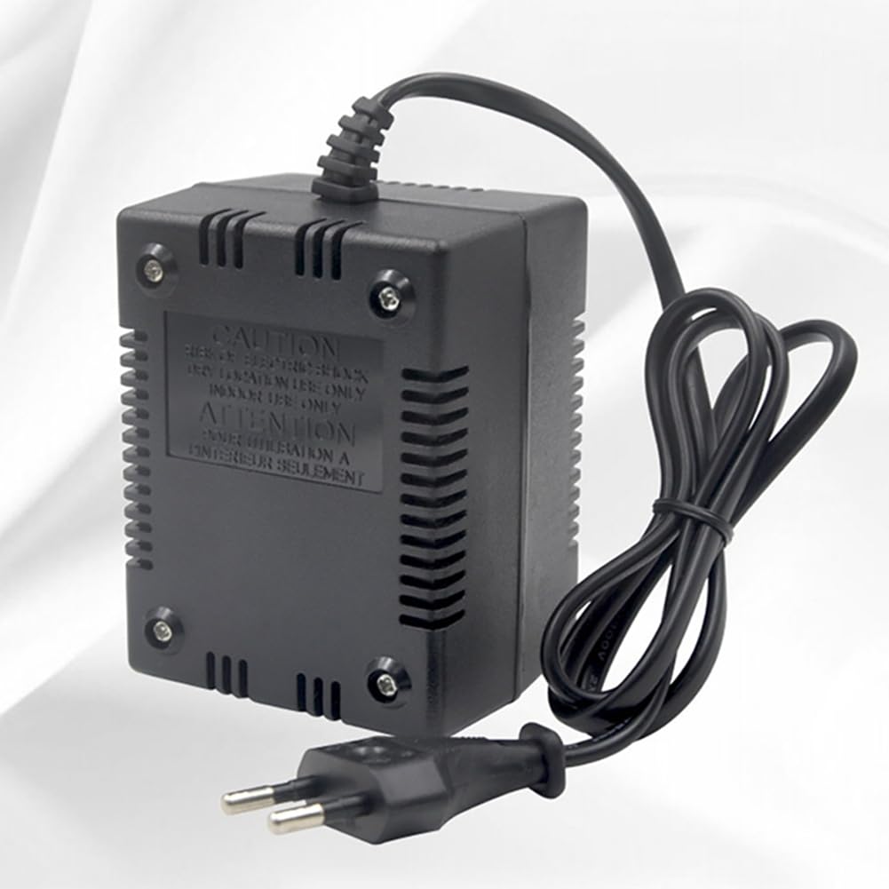 Transformateur de Puissance Régulateur de Tension Convertisseur de Tension 220 V à 110 V Transformateur Abaisseur Inverseur 200 W Prise UE