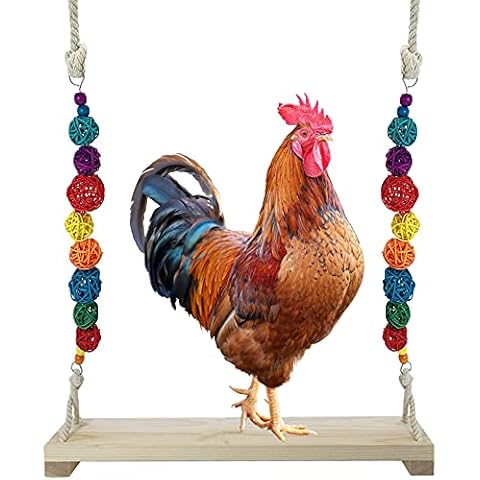 QIODAZOO Vogelschaukeln Hühnerschaukel aus Natürlichem Holz, Spielzeug Sitzstangen Vogelspielplatz ür Hühner Papageien, Aras und Große Vögel Cover