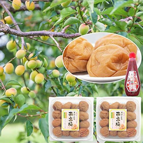 梅干し 紀州南高 梅 つぶれ梅 はちみつ 400g×2パック (合計800g) +紀州南高梅 練り梅1本(しそ漬180g) セット 和歌山県 つぶれうめ はちみつ漬け 母の日 父の日 お中元 お歳暮 敬老の日 家庭用 ギフト 熊野ファーム