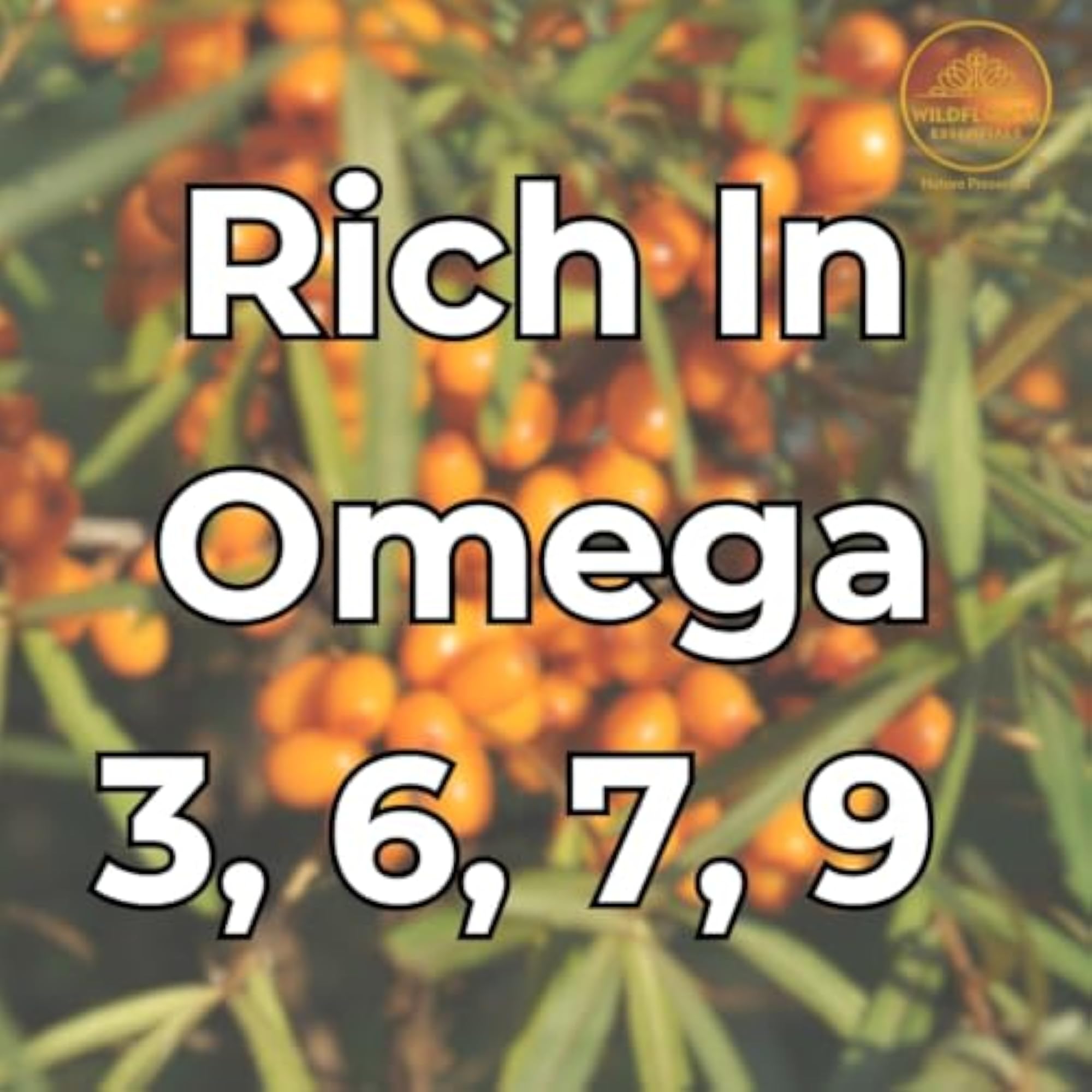 Sea Buckthorn Oil Cold Pressed 1000ml, Hydration Gift