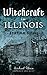 Witchcraft in Illinois: A Cultural History
