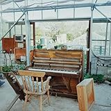 iMusician | Glasshouse