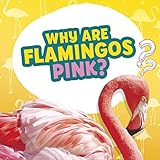 Why Are Flamingos Pink? (Amazing Animal Q&As)