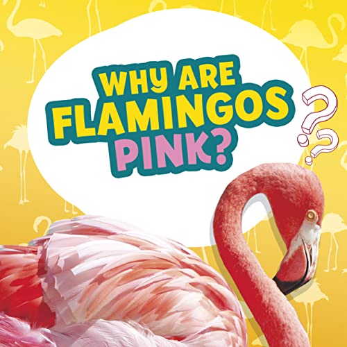 Why Are Flamingos Pink? (Amazing Animal Q&As)