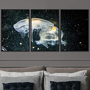signwin 3 Piece Framed Canvas Wall Art Colorful...