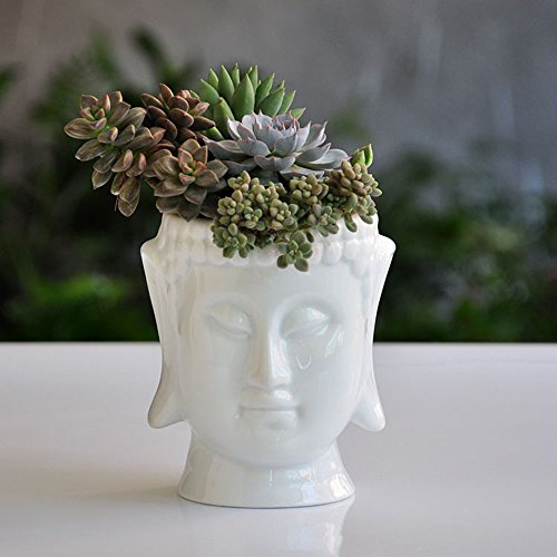 F&U Cabeza de Buda de cerámica Maceta macetas para casa jardín, Blanco