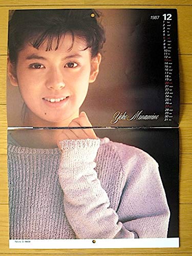 Amazon.co.jp: 1988 Mariko Yoshida (吉田真理子) Yoko Minamino Yuki