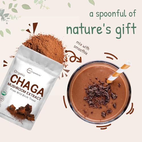 Micro Ingredients Organic Chaga Extract