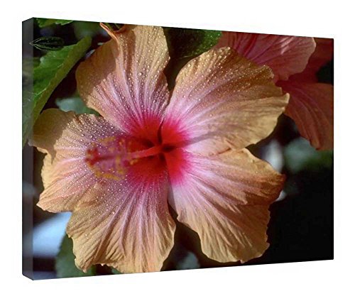 Toile d'hibiscus encadrée en bois pour sublimer l'ambiance de votre salon