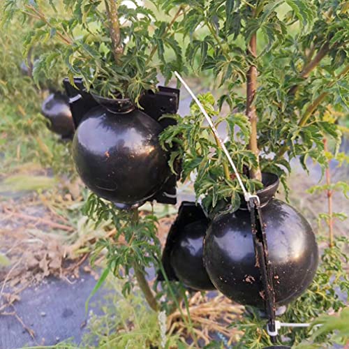 Plantenwortelapparaat Hoge druk Voortplantingsbal Rooter Doos Entany Botany Root Controller voor Tuin binnen… - Image 7