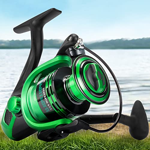 Top 10 Budget Saltwater Spinning Reel of 2022 Katynel