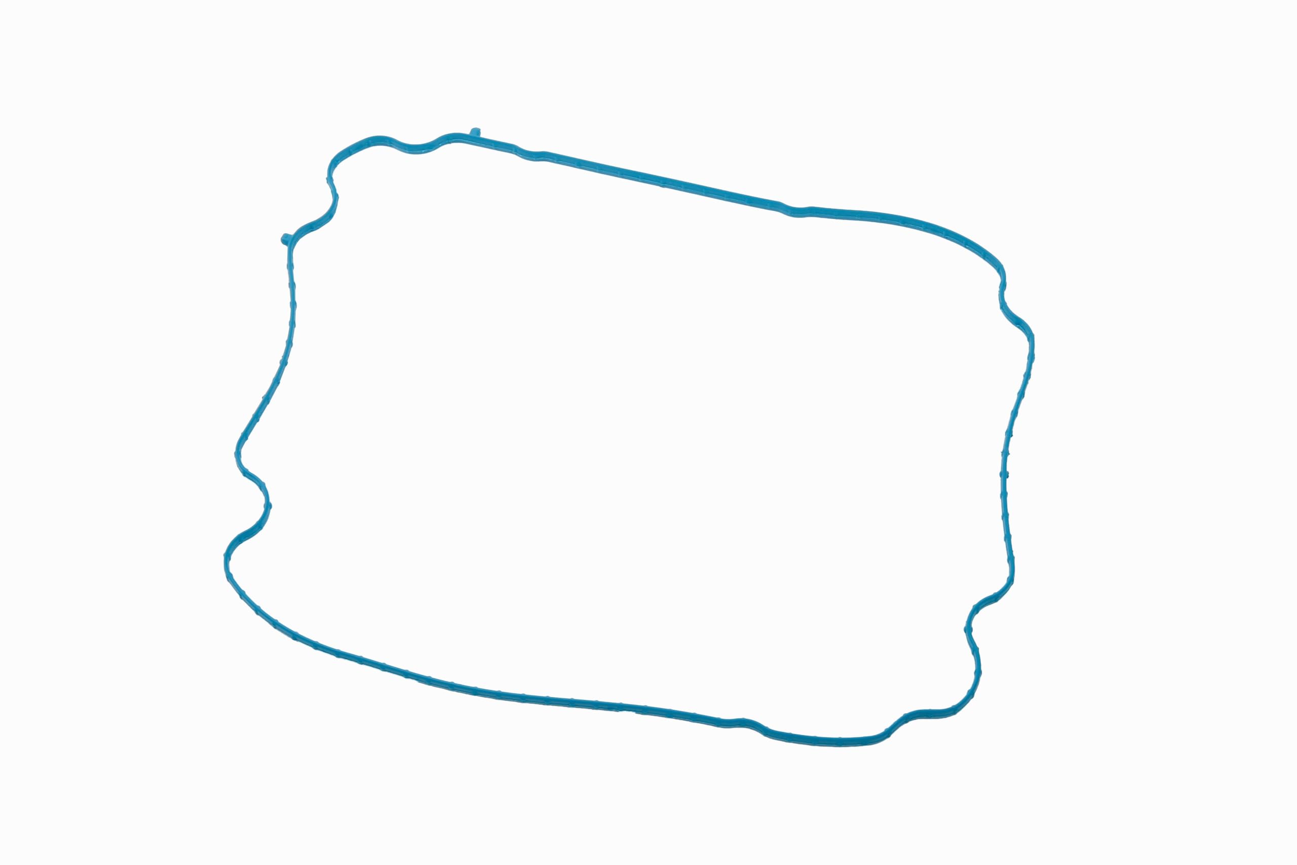 GM Genuine Parts 22772331 Automatic Transmission Differential Carrier Gasket