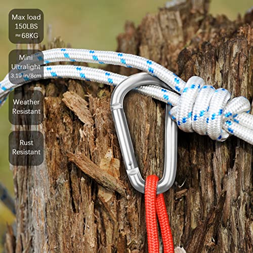 Image of sprookber 3 inch Aluminum Carabiner D Ring, Caribeener Clips, Spring Snap Hook for Keychain Clip, Set of 10