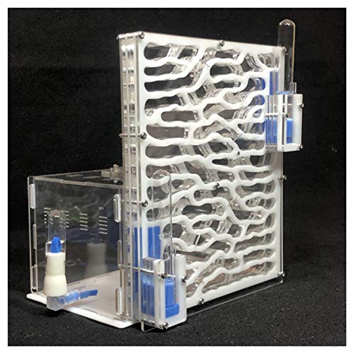 Insektenvilla Ameisennest DIY Acryl Ameisenfarm Großes Formicarium Ameisennest Mit Fütterungsbereich Große Ameisen Haus Villa Insekt Haustier 6 Schichten Ameisenhaufen Werkstatt 19,5 * 15 * 22cm Cover