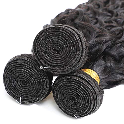Brazilian Virgin Water Wave 4 Bundles 100% Unprocessed Human Hair Bundles Water Wavye Hair Extensions Double Strong Weft (16/18/20/22 Inch, Water Wave #TOP4