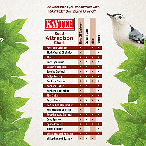 Kaytee Wild Bird Songbird Blend Food Seed, 7 Pound #TOP5