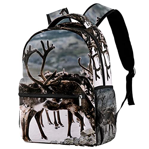 Sac à dos cerf pour femme spacieux pour ne plus manquer d'espace