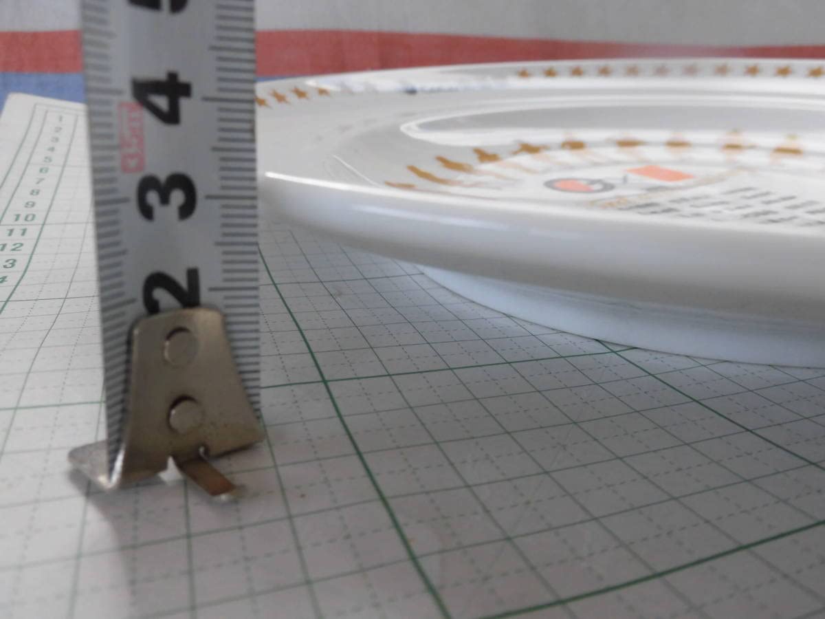 Amazon | SKE48オリジナルカレー皿 Bタイプ CoCo壱番屋当選品3rd