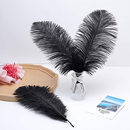 Ballinger Black Large Ostrich Feathers - 24Pcs 12-14inch Large Feathers for Vase,Gatsby and Halloween Party Centerpieces - Thumbnail 7