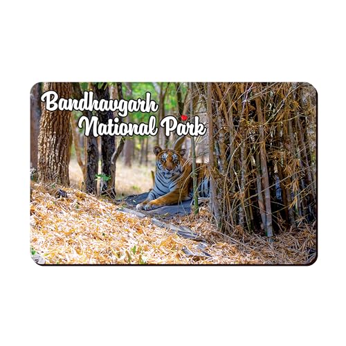 Image of Elegant Fridge Magnet with Themes |Rectangular Size Refrigerator Magnet with Magnetic Rubber Back | Pack of 1, 8.6cm X 5.4cm (Bandhavgadh National Park)